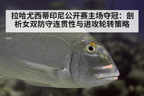 拉哈尤西蒂印尼公开赛主场夺冠：剖析女双防守连贯性与进攻轮转策略（FIFA 2026）