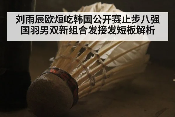 刘雨辰欧烜屹韩国公开赛止步八强 国羽男双新组合发接发短板解析（FIFA 2026）